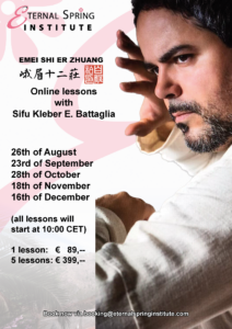 Online lessons Sifu Kleber - past event of the martial arts experience